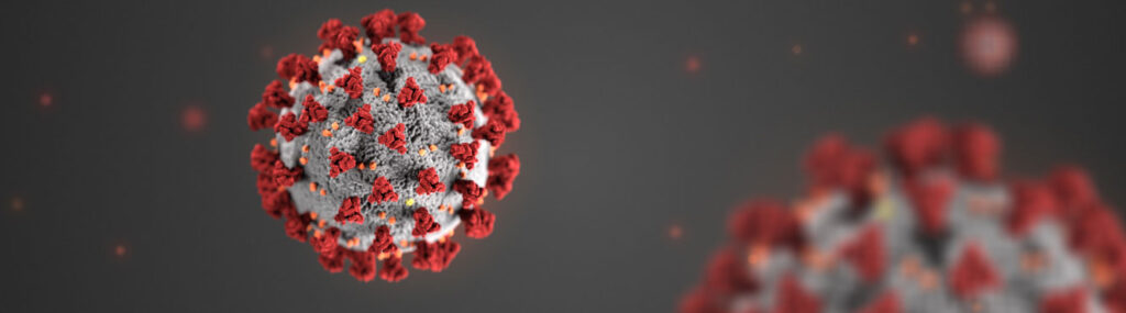 Computer generation of COVID-19 germ cell