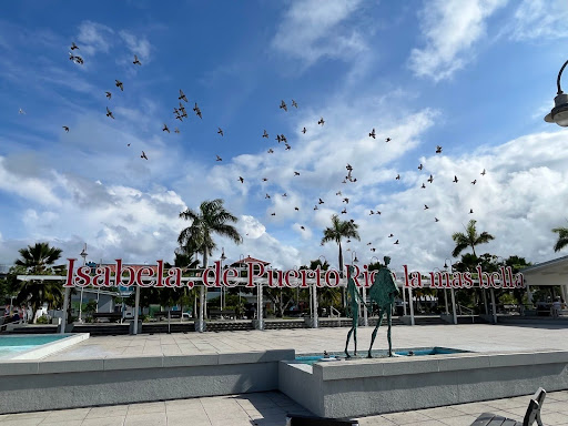 birds flying above a sign saying "Isabela, de Puerto Rico la mas bella" and palm trees in the background
