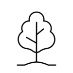 line drawing of a tree