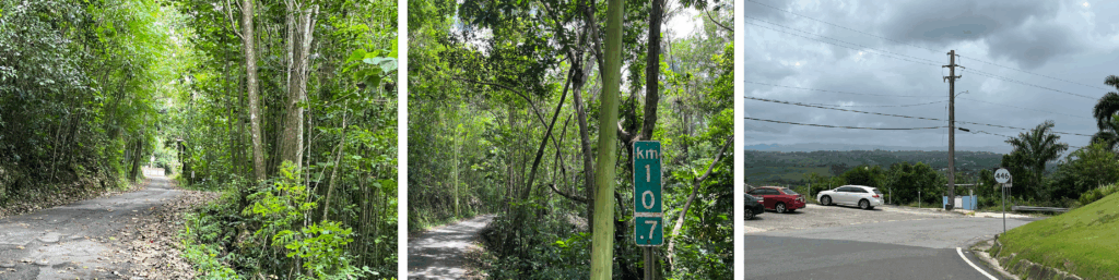 Three images. The first image is a path through the forest. The second image is trees and a path with a sign reading "km 10.7" the third image is a parking lot with three cars parked